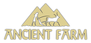 Ancient Farm